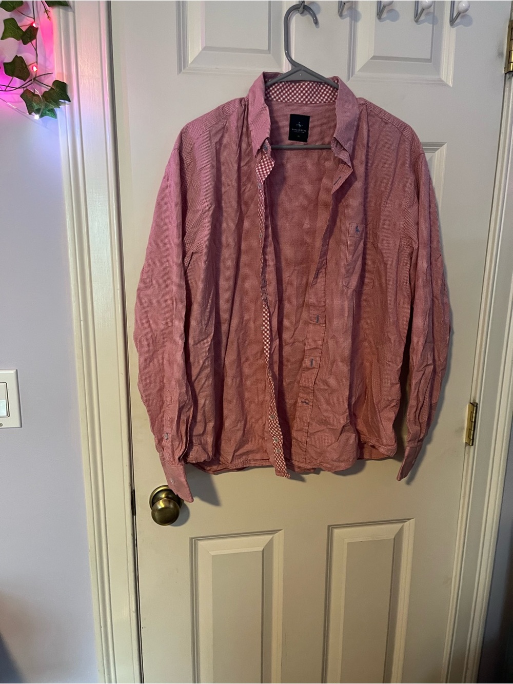 Tailorbyrd Red and White Gingham Button-Up Shirt